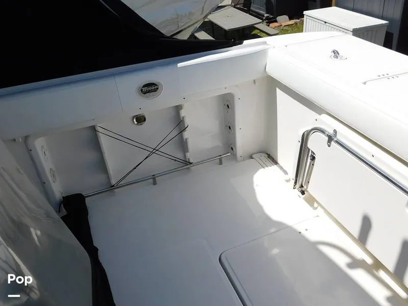 Slide: The Image of Triton 351xd 2007 - 15389896