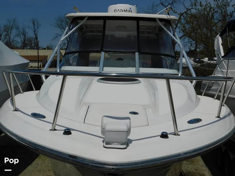 Slide: The Image of Triton 351xd 2007 - 15389819