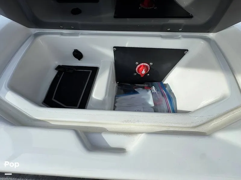 Slide: The Image of Tige Z1 2022 - 15257486