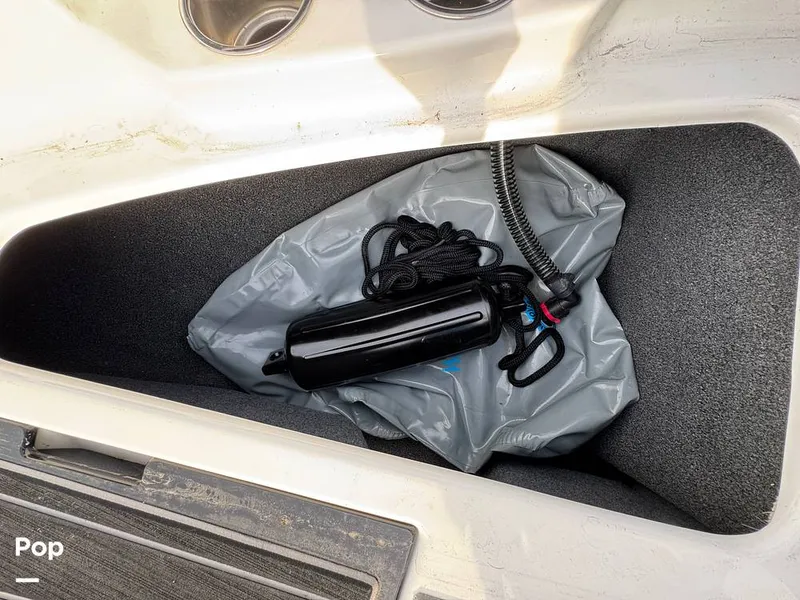 Slide: The Image of Tige Z1 2022 - 15246757