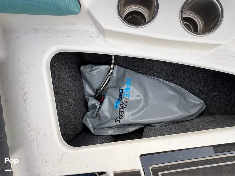 Slide: The Image of Tige Z1 2022 - 15246758