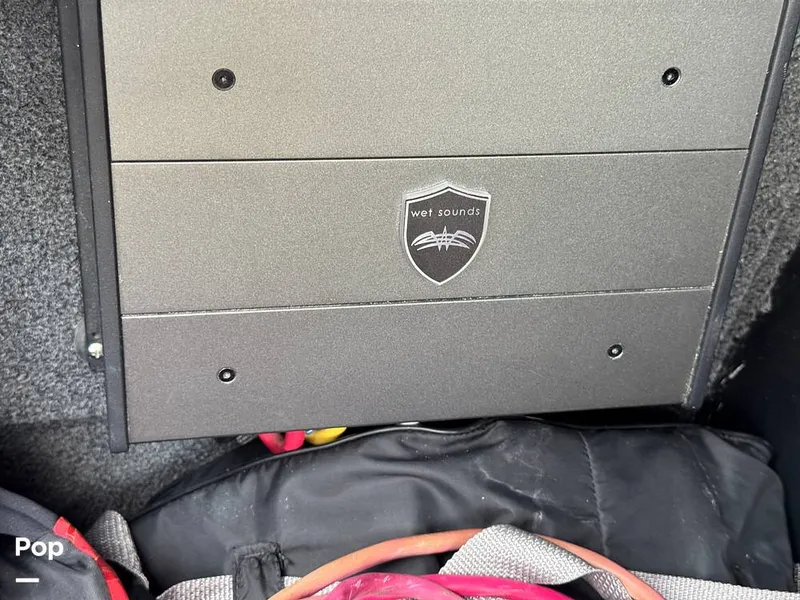 Slide: The Image of Tige Z1 2022 - 15246763