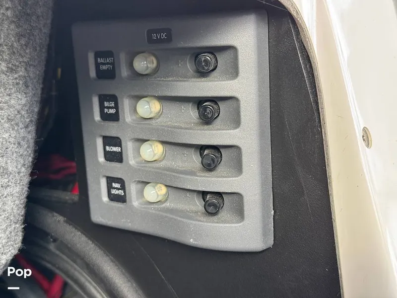 Slide: The Image of Tige Z1 2022 - 15246764