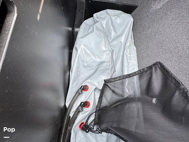 Slide: The Image of Tige Z1 2022 - 15246776