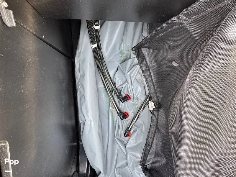 Slide: The Image of Tige Z1 2022 - 15246777