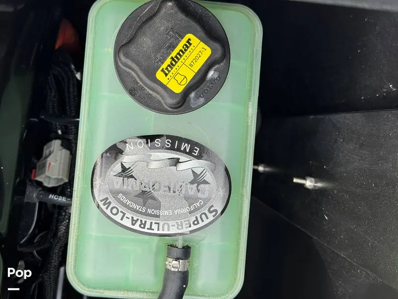 Slide: The Image of Tige Z1 2022 - 15246779