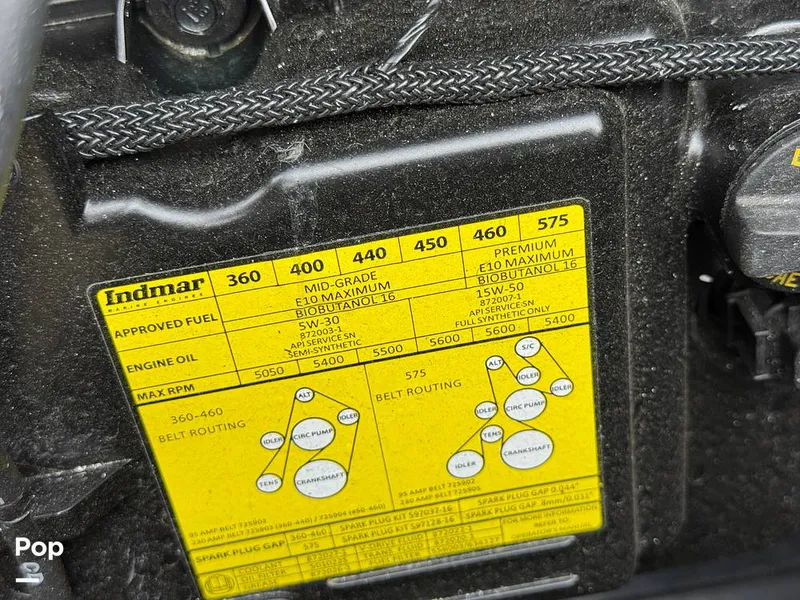 Slide: The Image of Tige Z1 2022 - 15246781