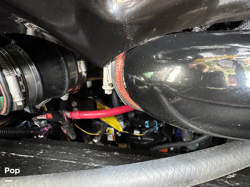 Slide: The Image of Tige Z1 2022 - 15246784