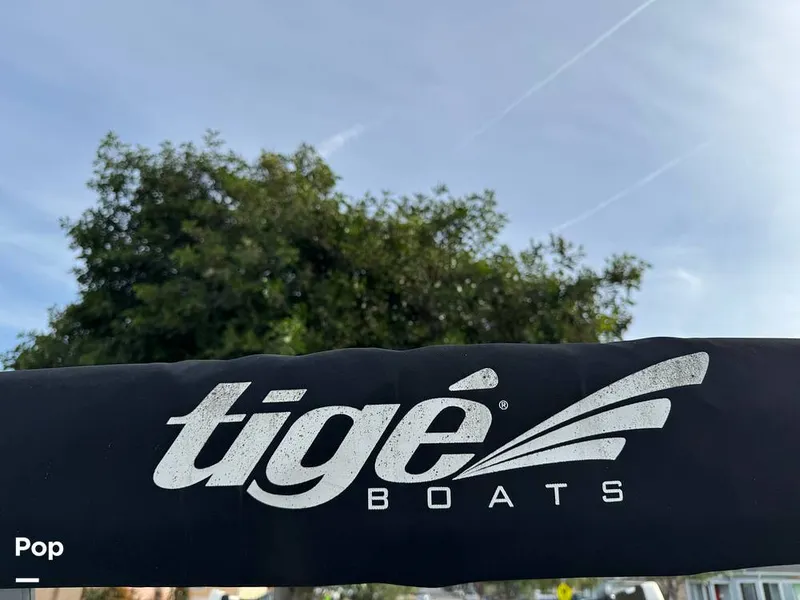 Slide: The Image of Tige Z1 2022 - 15246785