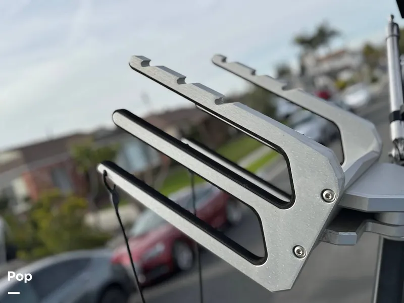 Slide: The Image of Tige Z1 2022 - 15246789