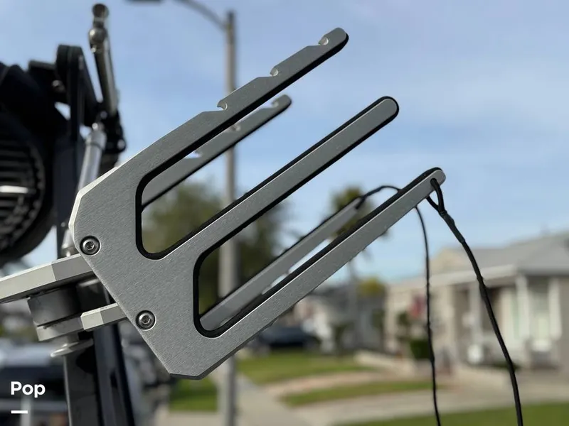 Slide: The Image of Tige Z1 2022 - 15246790