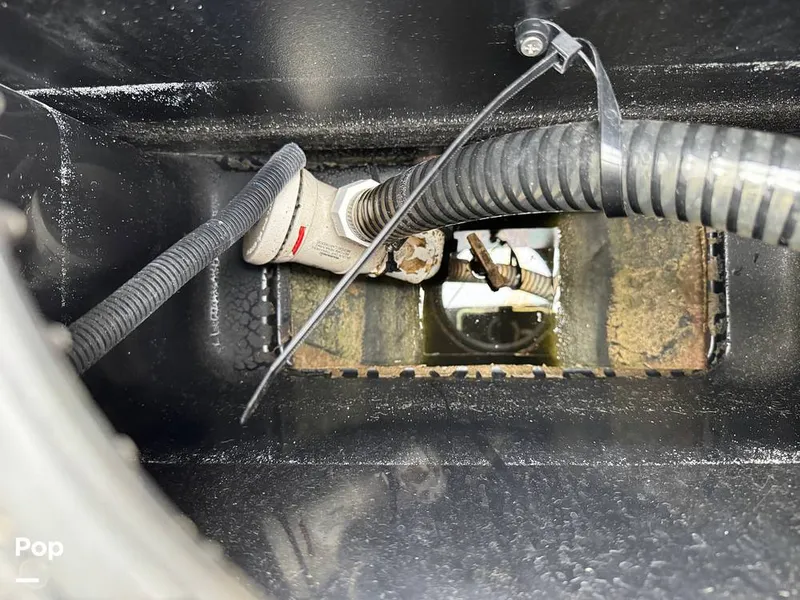 Slide: The Image of Tige Z1 2022 - 15246792