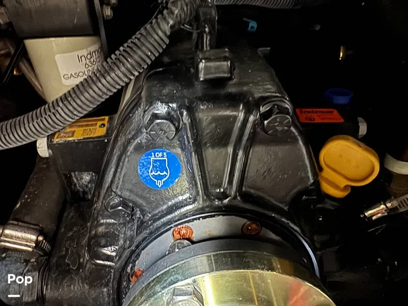 Slide: The Image of Tige Z1 2022 - 15246794