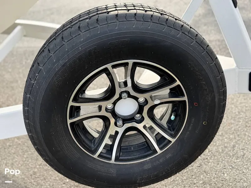 Slide: The Image of Tige Z1 2022 - 15246797