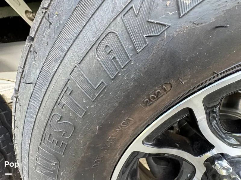 Slide: The Image of Tige Z1 2022 - 15246808