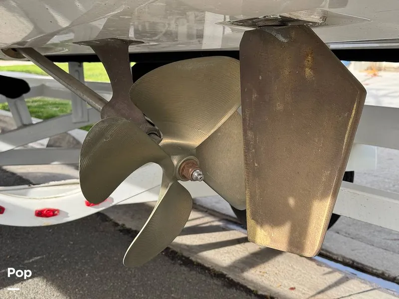 Slide: The Image of Tige Z1 2022 - 15246813