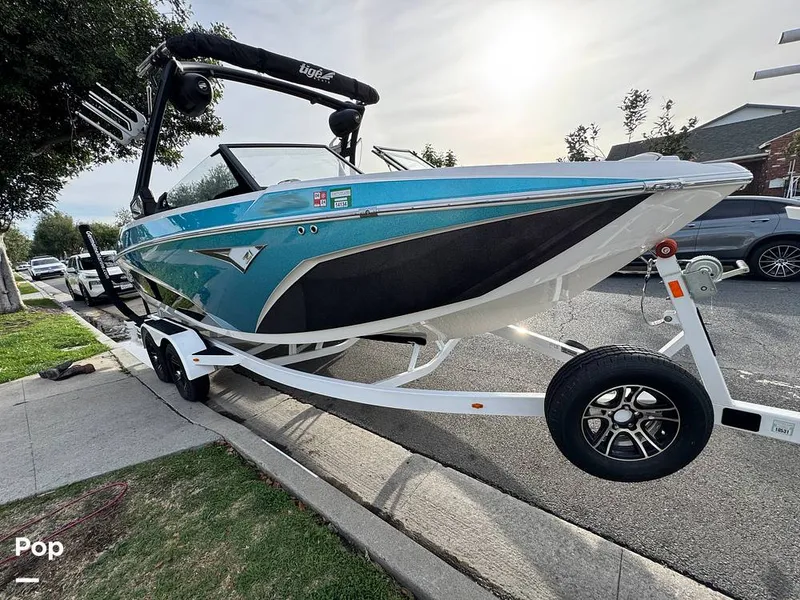 Slide: The Image of Tige Z1 2022 - 15247369