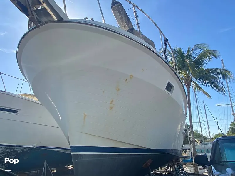 Slide: The Image of Present Yachts 42 Sundeck 1986 - 15268533