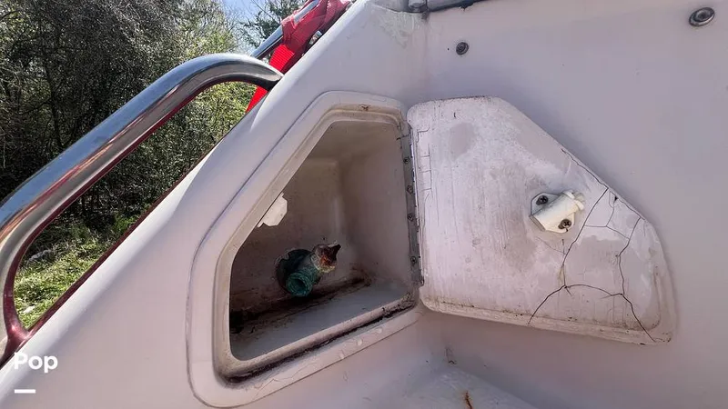 Slide: The Image of Sea Ray Pachanga 32 1987 - 15243856