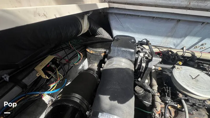 Slide: The Image of Sea Ray Pachanga 32 1987 - 15243820