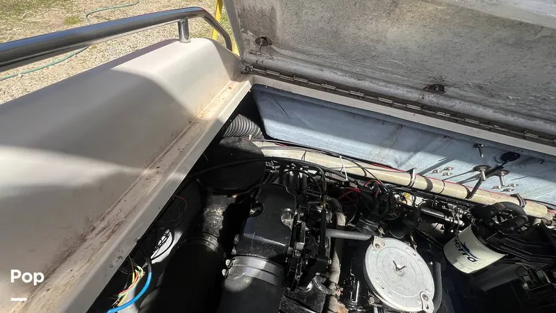 Slide: The Image of Sea Ray Pachanga 32 1987 - 15243826