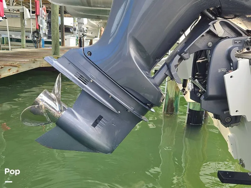 Slide: The Image of Edgewater 208CC 2020 - 15713853