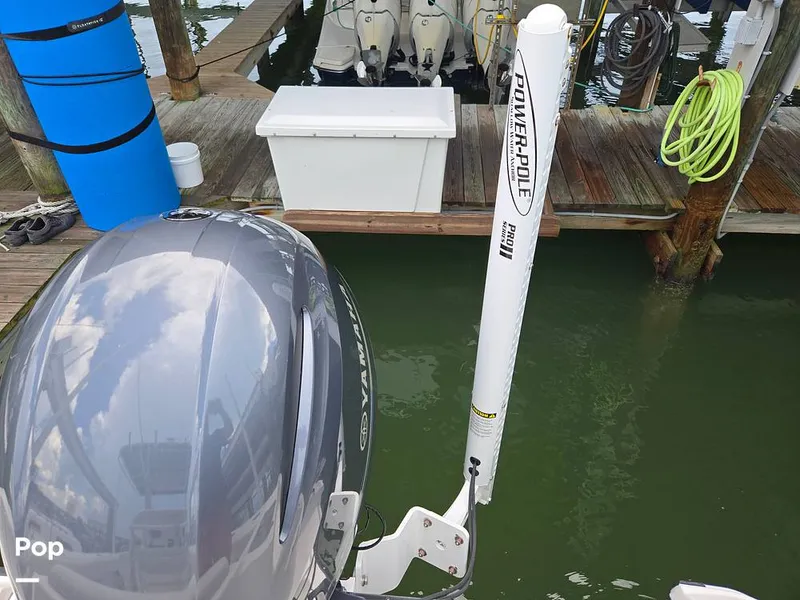 Slide: The Image of Edgewater 208CC 2020 - 15713935