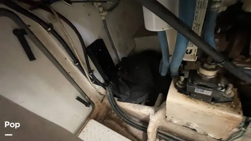 Slide: The Image of Bayliner 4788 Pilothouse 1996 - 15259617