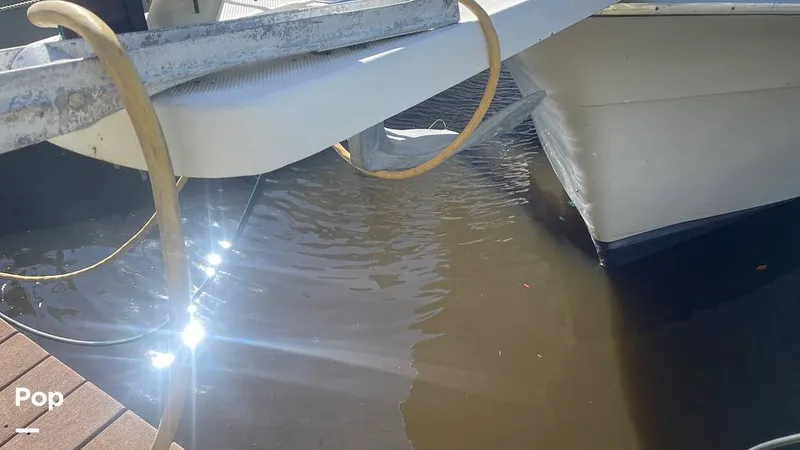 Slide: The Image of Bayliner 4788 Pilothouse 1996 - 15259323