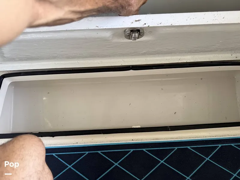 Slide: The Image of Bait Well - 15303263