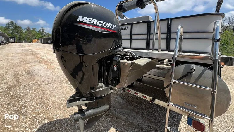 Slide: The Image of Massimo P24 Limited Max 2022 - 15295353