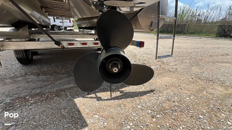 Slide: The Image of Massimo P24 Limited Max 2022 - 15295351