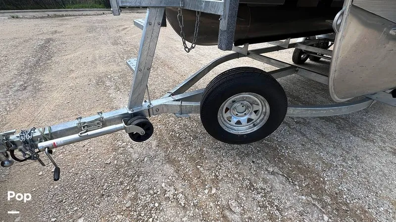 Slide: The Image of Massimo P24 Limited Max 2022 - 15295365