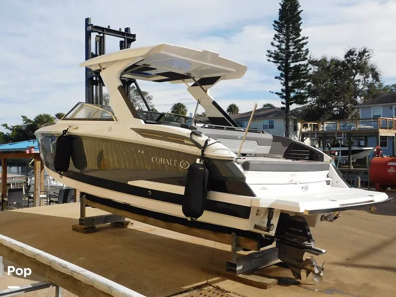 Slide: The Image of Cobalt A29 2021 - 16196349