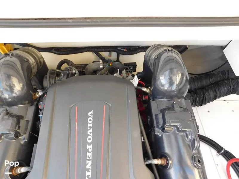 Slide: The Image of Cobalt A29 2021 - 16196393