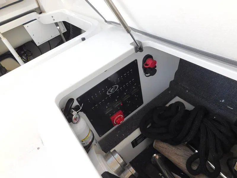 Slide: The Image of Cobalt A29 2021 - 16196397