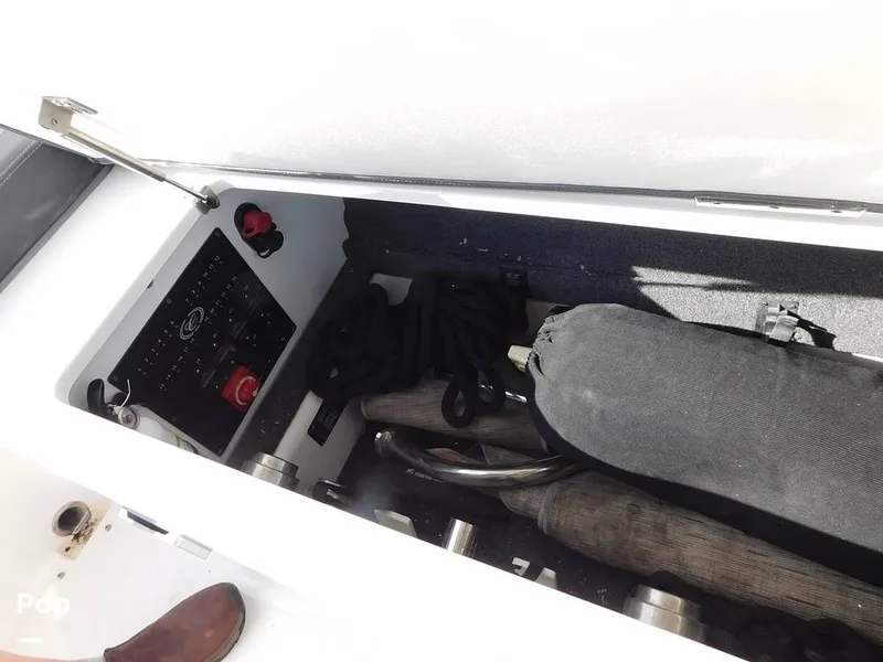 Slide: The Image of Cobalt A29 2021 - 16196418