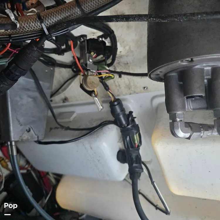 Slide: The Image of Sportsman 212 Open 2017 - 16085688