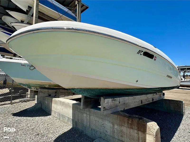 Slide: The Image of Stingray 206CC 2017 - 15406271