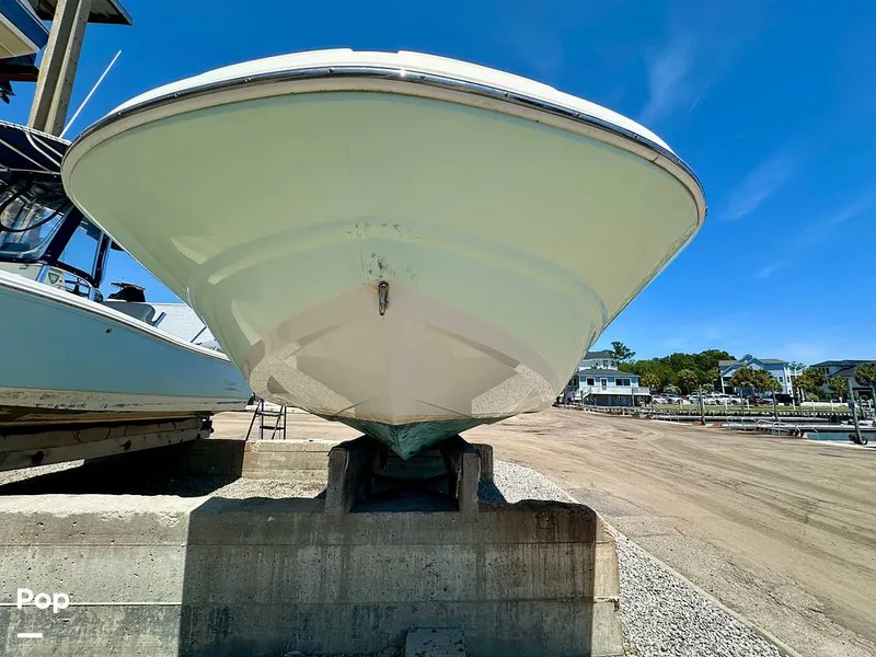 Slide: The Image of Stingray 206CC 2017 - 15406273