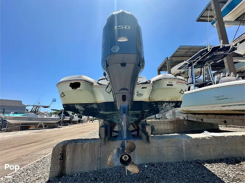 Slide: The Image of Stingray 206CC 2017 - 15406275