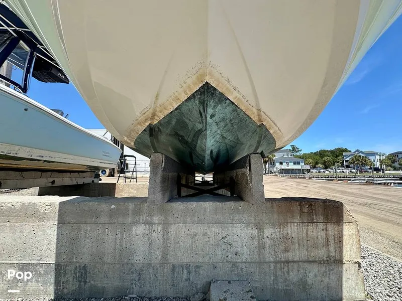 Slide: The Image of Stingray 206CC 2017 - 15406276