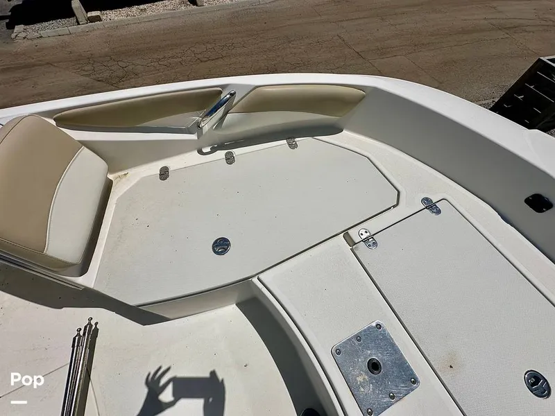 Slide: The Image of Stingray 206CC 2017 - 15406288