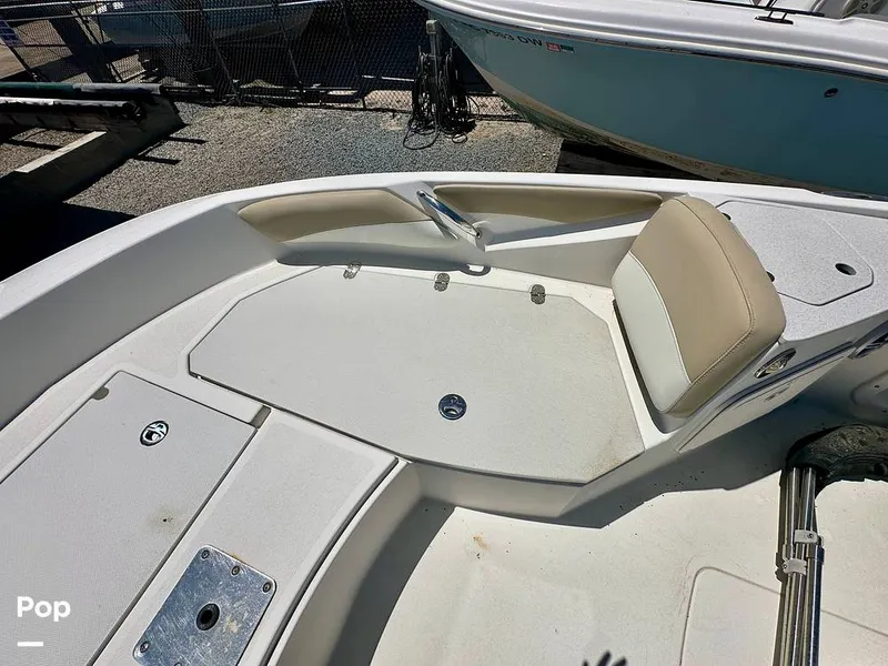 Slide: The Image of Stingray 206CC 2017 - 15406291