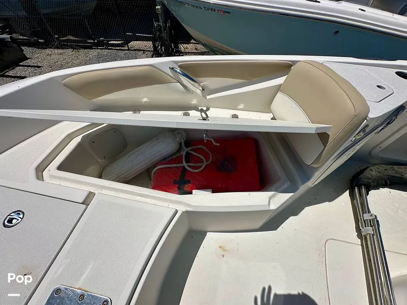 Slide: The Image of Stingray 206CC 2017 - 15406292