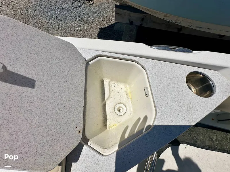 Slide: The Image of Stingray 206CC 2017 - 15406294