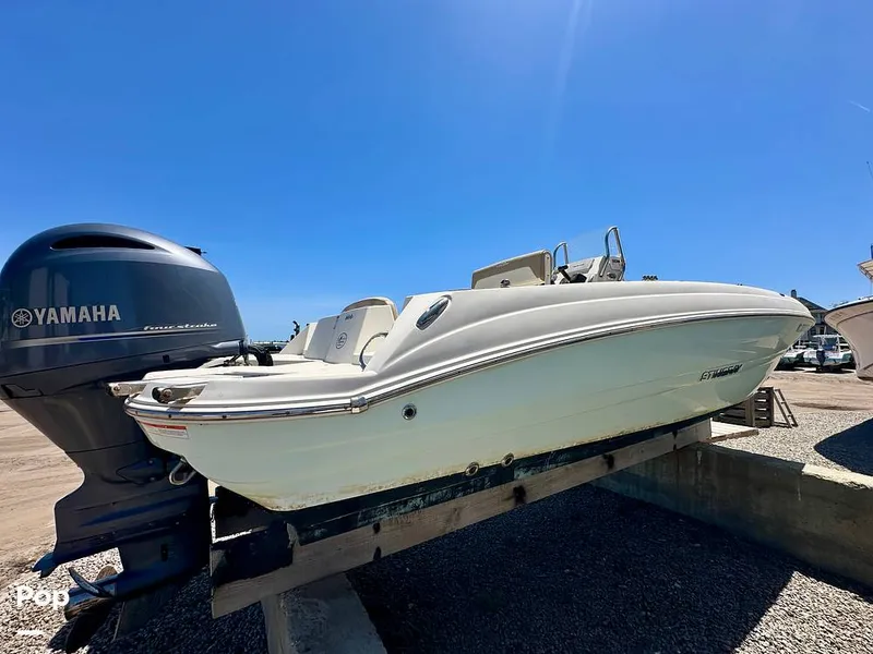 Slide: The Image of Stingray 206CC 2017 - 15406324