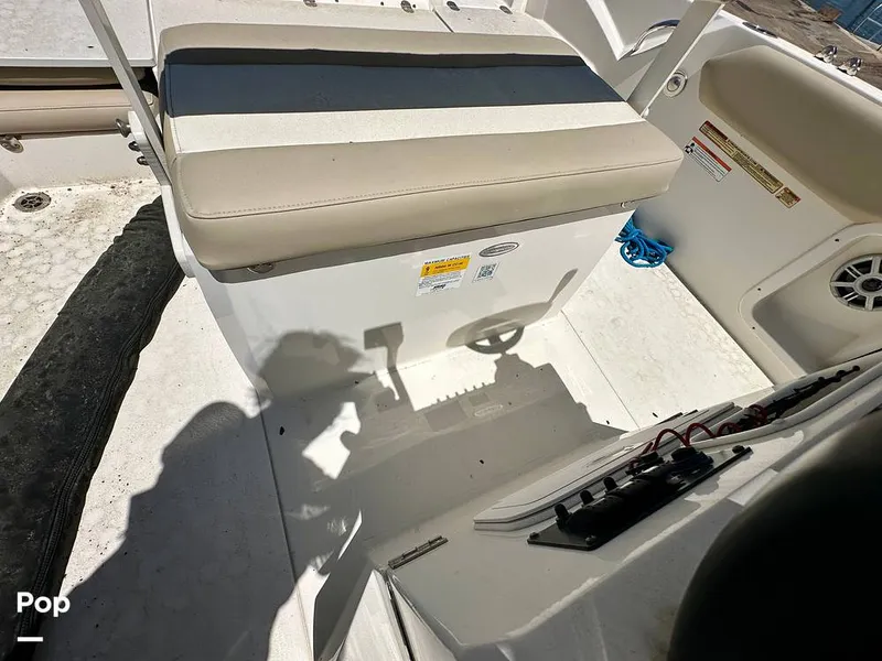 Slide: The Image of Stingray 206CC 2017 - 15406298