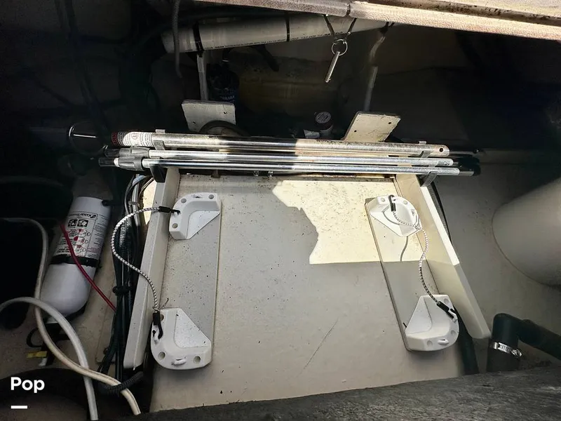 Slide: The Image of Stingray 206CC 2017 - 15406302