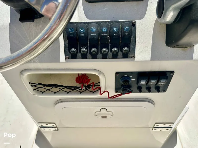 Slide: The Image of Stingray 206CC 2017 - 15406313